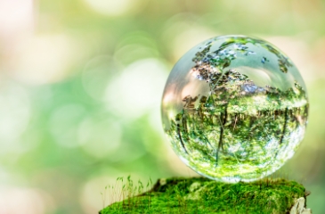 人にも環境にも優しい